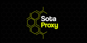 SotaProxy логотип